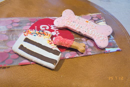 Decorated dog treats, an iced bone biscuit and a layered cake-style bar (tight centre crop, burned-in words cropped out)